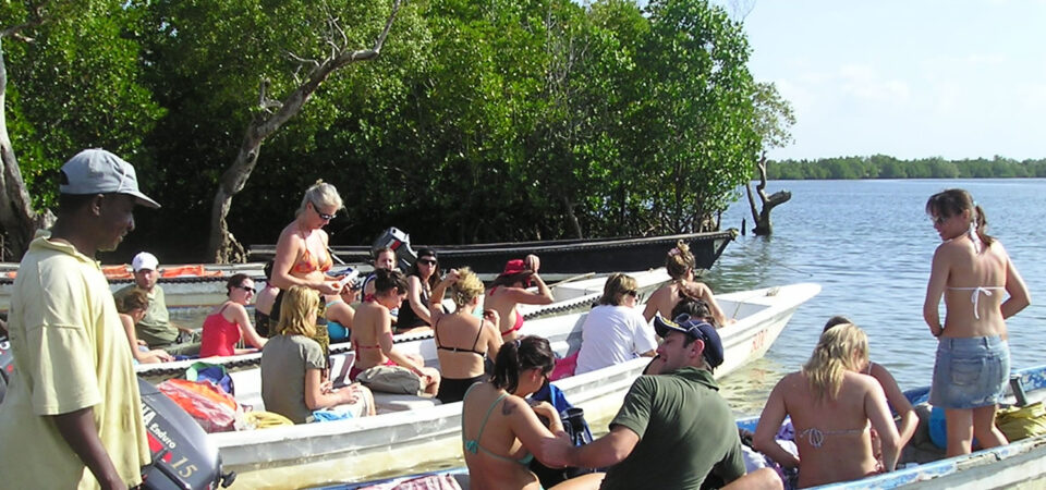 Handcrafted wooden Swahili dhow sailing through the mangrove channels of Funzi Bay
