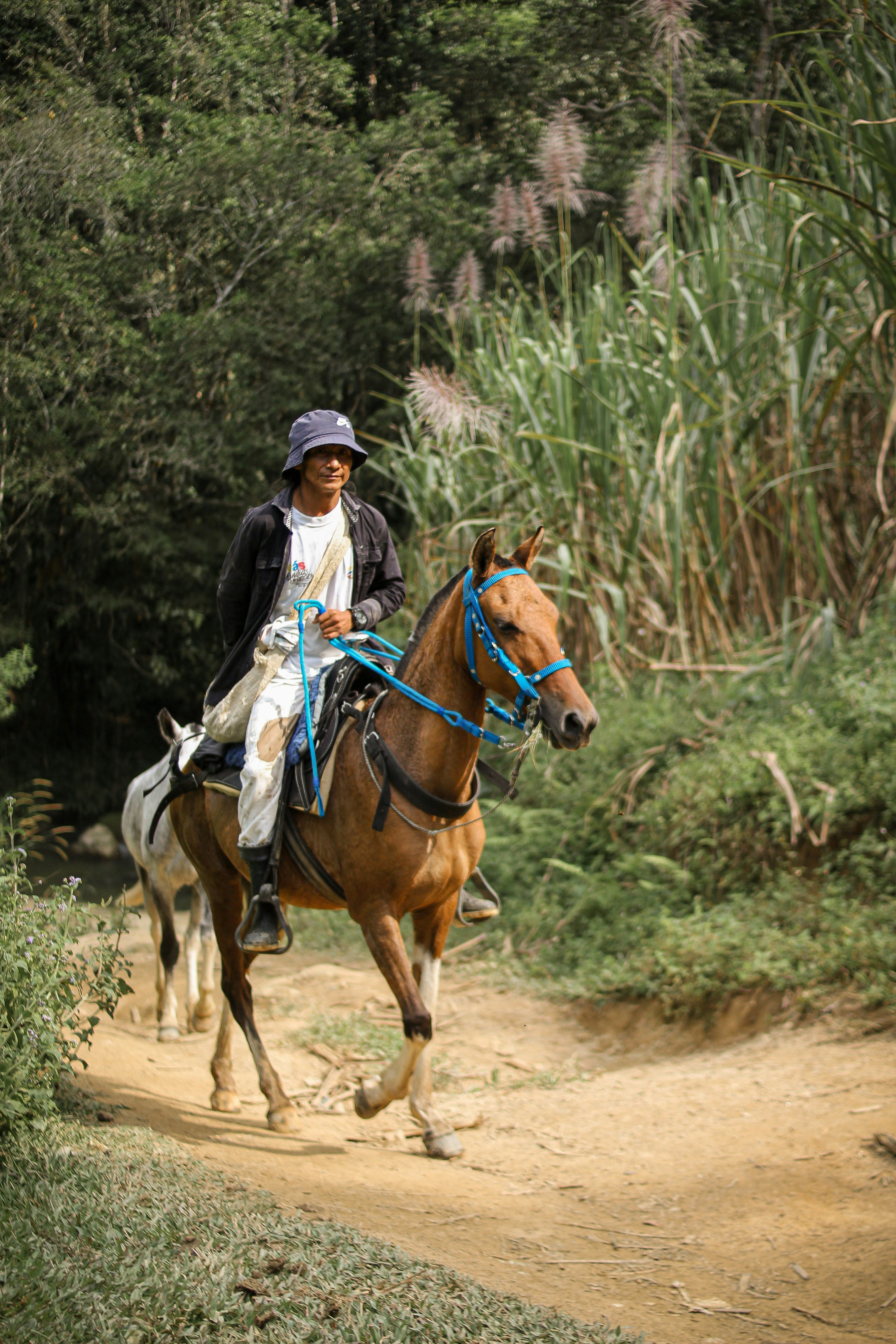 Horseback Safari